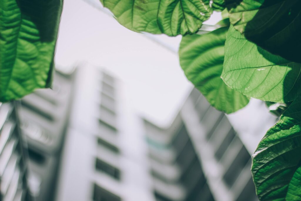 How Technology is Helping Companies Cut Their Carbon Footprint